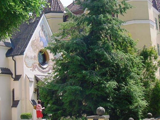 Im Schloss Garatshausen ist das Café für Radler geöffnet.