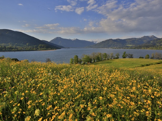 Der Start zur Holzeralm in Kaltenbrunn