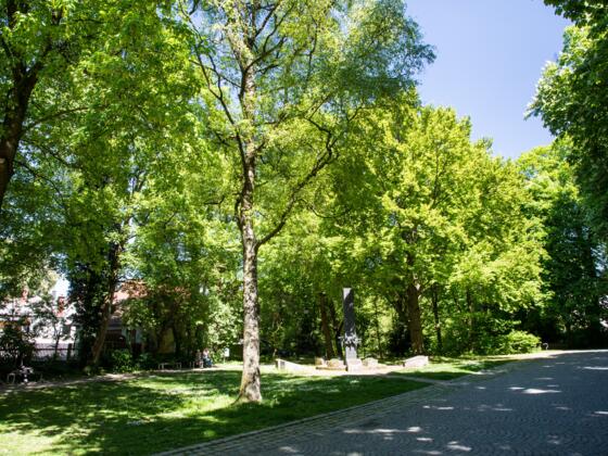 Start Ziel Grüner Markt