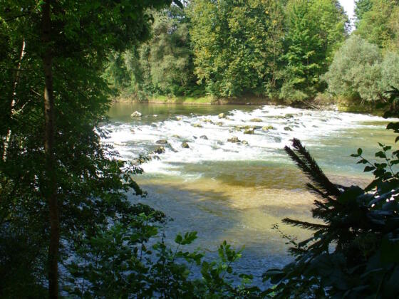 Isar-Radweg Richtung München