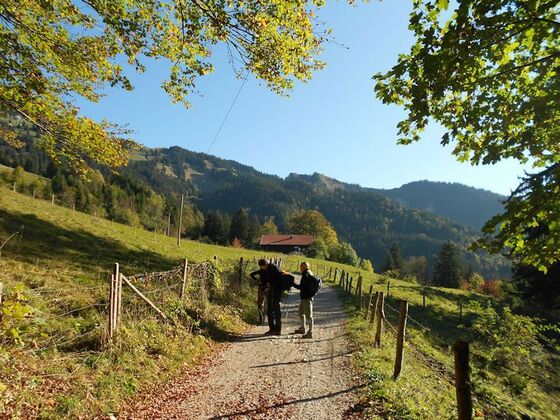 Agergschwenalm im Frühling