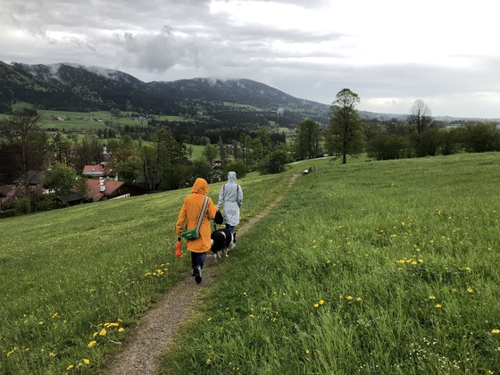 Auf dem Wiesenweg nach Marbach