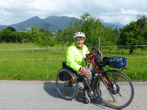 Höhenweg Bad Wiessee - Gmund, hier Holz