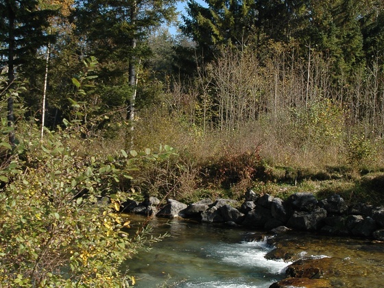 Die Leitzach bei Wörnsmühl