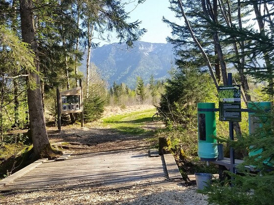 Moor-Erlebnis-Pfad: Moorbodenexperiment