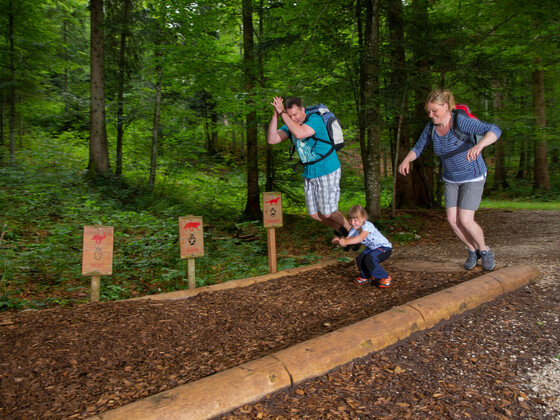Bergwald-Erlebnispfad: mit den Waldbewohner um die Wette springen
