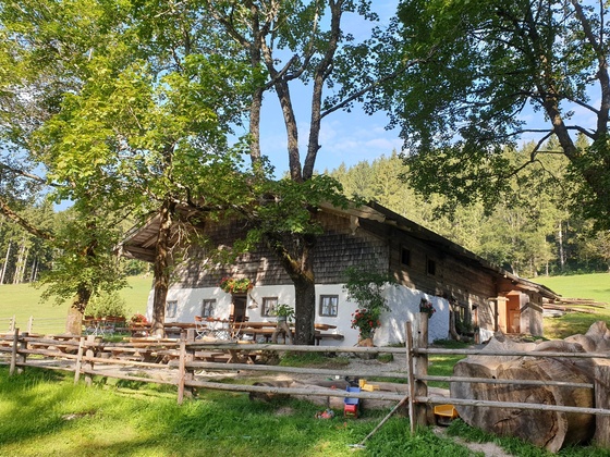 Bäckeralm Inzell - schattiger Garten