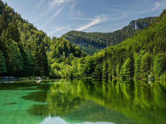 Zwingsee Inzell Natur