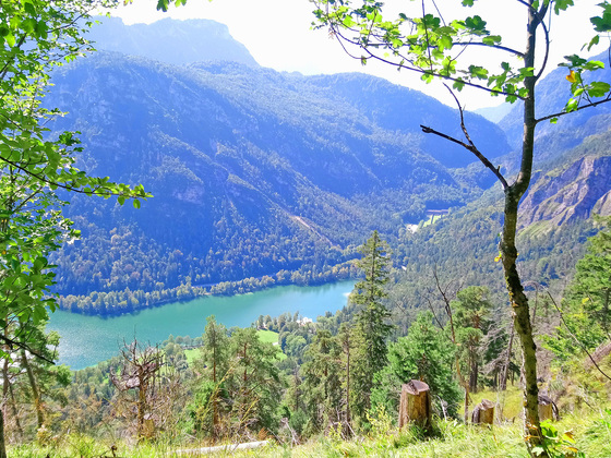 Blick zum Thumsee