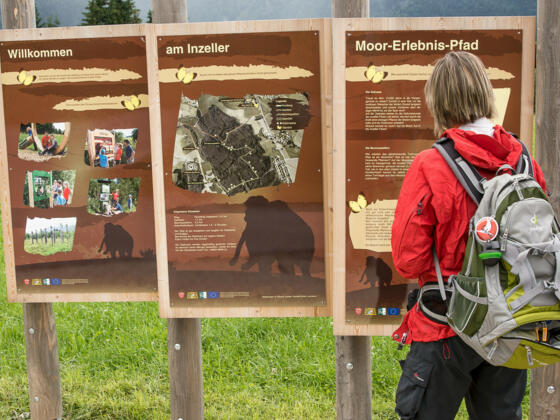 Infotafeln zu Beginn