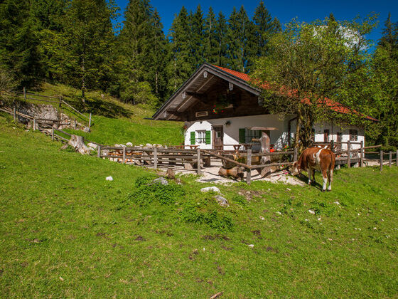 Moar Alm Inzell - Almidyll