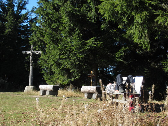 Gipfel Teisenberg im Sommer