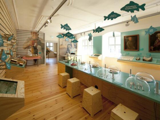 Museum im Alten Schloss mit Karpfenmuseum