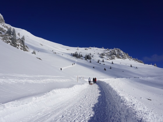 Zwischen der Wildfeldalm und dem Rotwandhaus