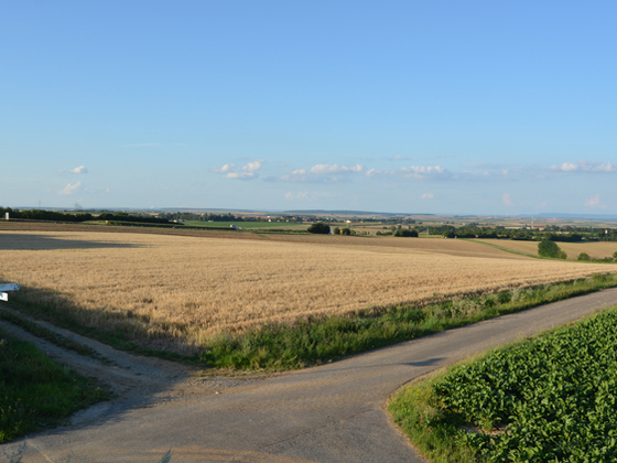 Radwegkreuzung am Mainfrankenpark - Blick Richtung Nordosten