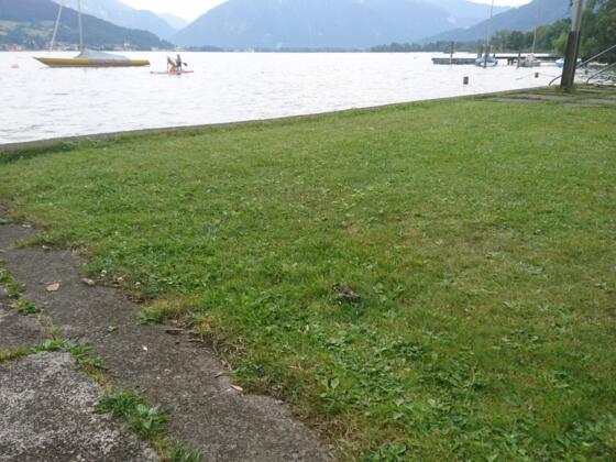 strandbad-grieblinger-2