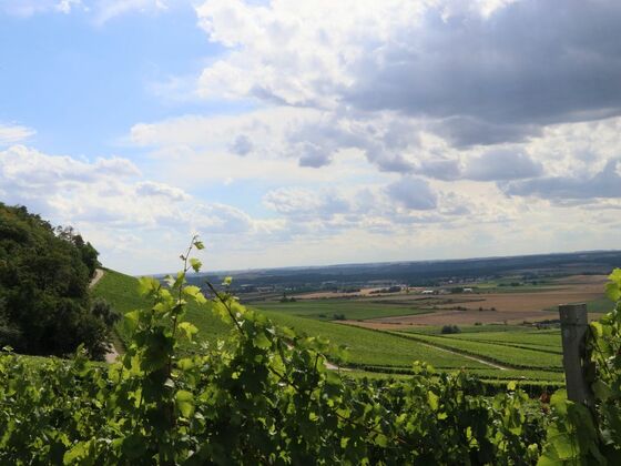 Blick auf den Schwanberg