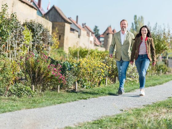 Entlang der Stadtmauer Mainbernheim