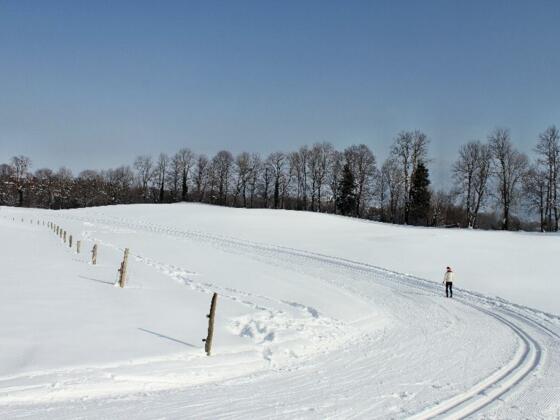 Hainzenhöhe Steinberg