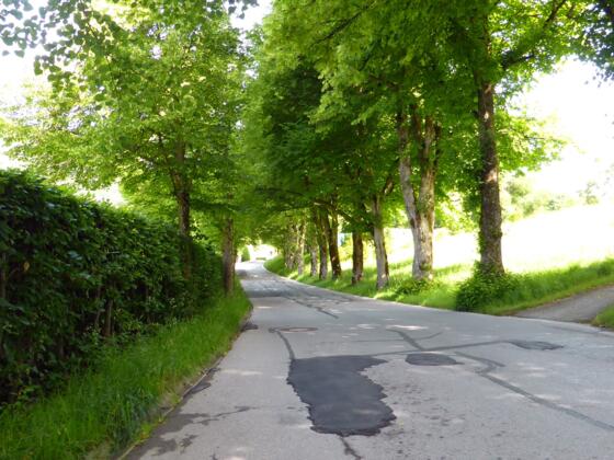 Rohbogenweg zum Golfplatz