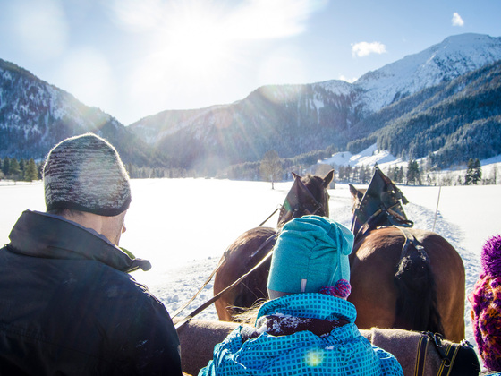 bayrischzell-pferdeschlitten