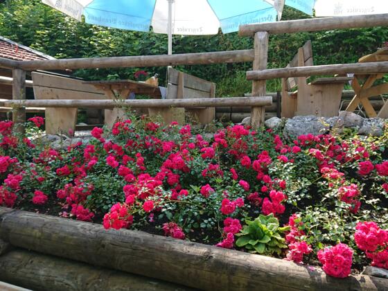 fischzucht_kreuth_2_1