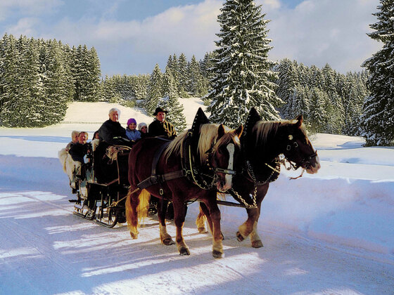 pferdekutsche_maier_quer