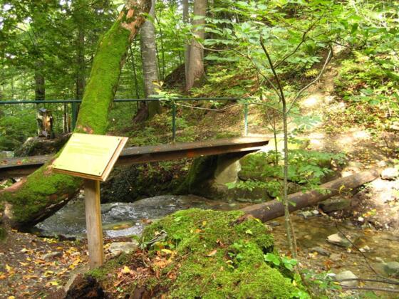 Themenweg - Mythenweg - Timberland Trail - Köhlerweg