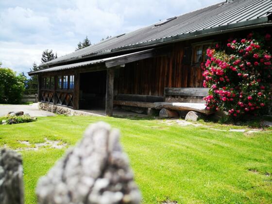 der-tegersee-stefanie-pfeiler