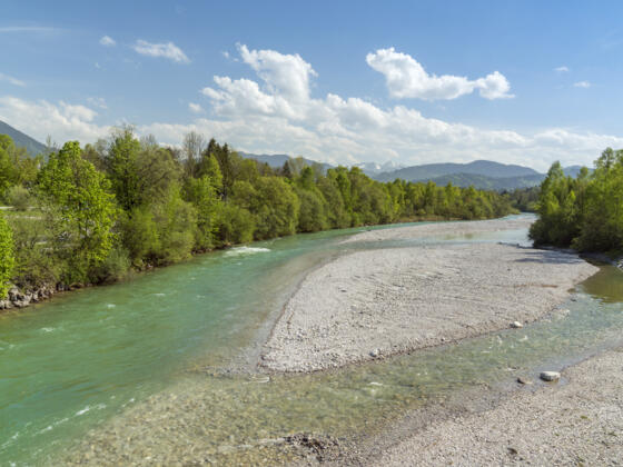 &#039;Wildfluss Isar