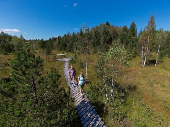 Moorlehrpfad Bad Bayersoien