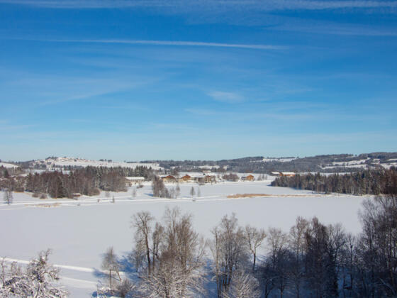 Winterwanderung - Geizenmoos