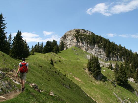 Neben den steilen und ausgesetzten Wegabschnitten, bietet die Tour auch sanfte und genussreiche Abschnitte.