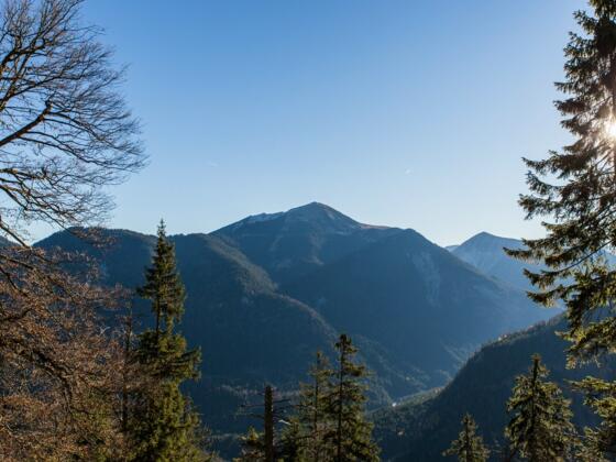 Blick Richtung Schafreiter