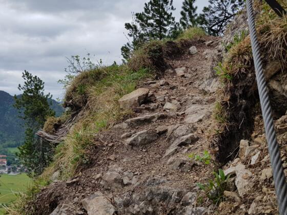 Ansteig über Weg Nr. 263 vom Ghf. Mühle zur Notkarspitze