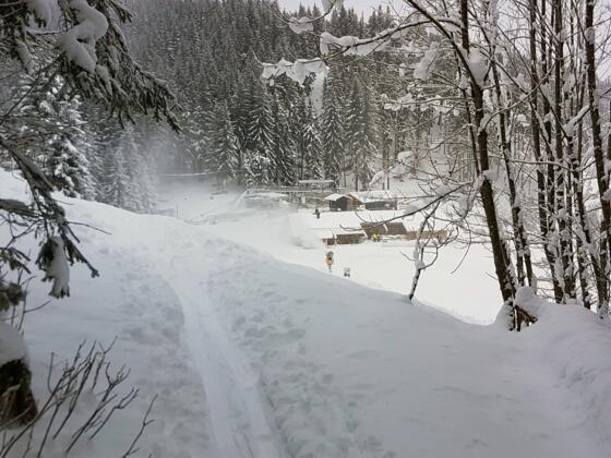 Der Weg endet etwas oberhalb des Kolbensattels