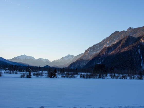 Winterwanderung - Weidmoos