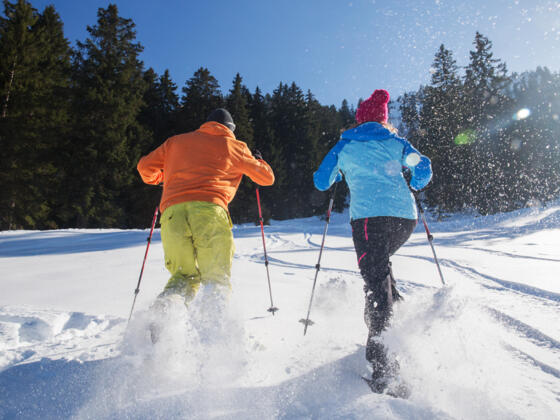 Schneeschuhwanderung Hinteres Hörnle