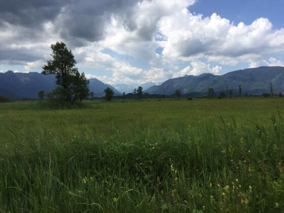 Start beim Ähndl ins Murnauer Moos