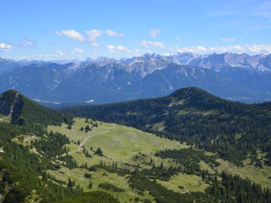 Kühalm von der Hohen Kisten
