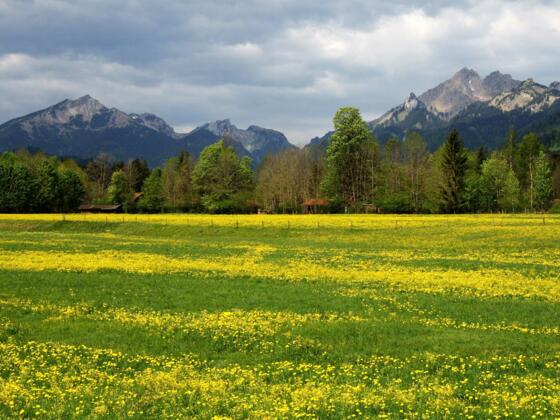 Radtour Schloss Linderhof Runde - Bick auf Scheinberg und Große Klammspitze