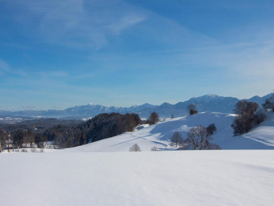 Winterwanderung - Rantscher Weiher
