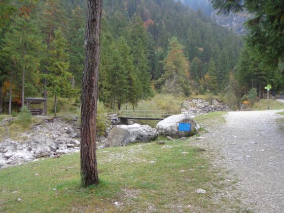 Wanderweg zur Föhrenheide