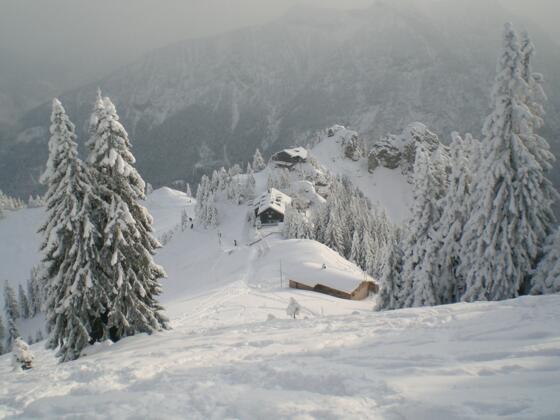 die Pürschlinghäuser von oben