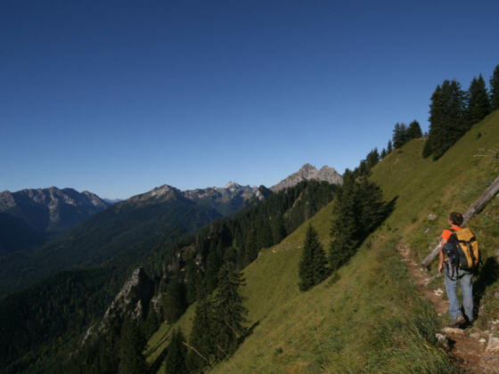 Südflanke Latschenkopf