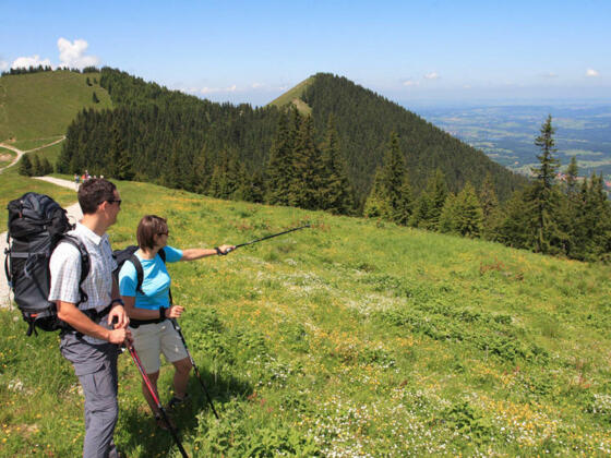 Wanderaussicht am Hörnle