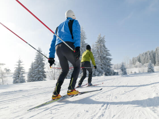 Langlaufloipe Buchwaldrunde