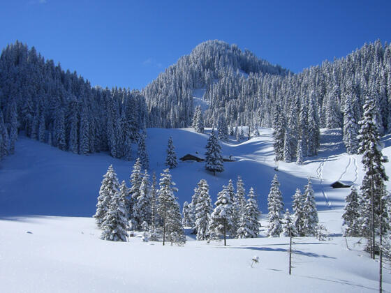 Skitour Laber - an der Soila-Alm