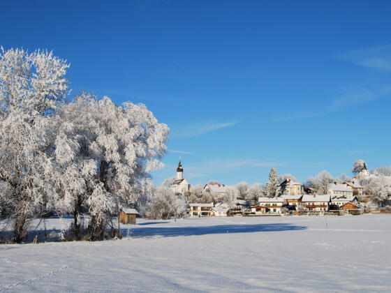 Winterwanderung - Soier See Rundweg