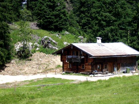 Kühe auf der Gotzentalalm